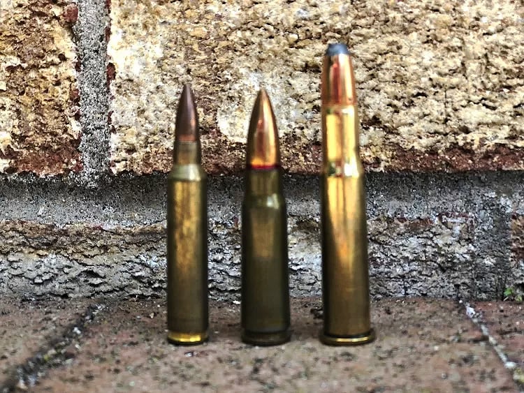 Some popular rifle cartridges used as defensive ammo.