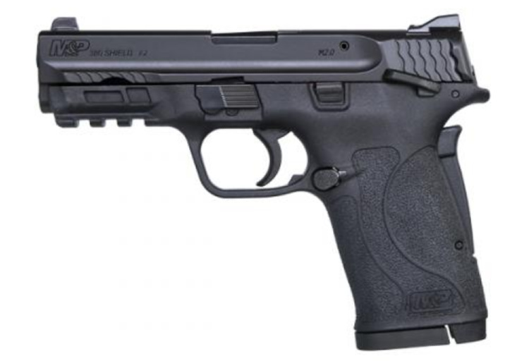 .380 EZ Shield budget handgun, budget pistol
