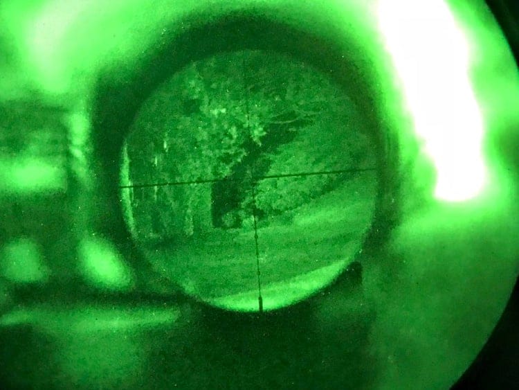 I got much better results by using the Nexus camera mount to position the PVS-14 behind my scope.