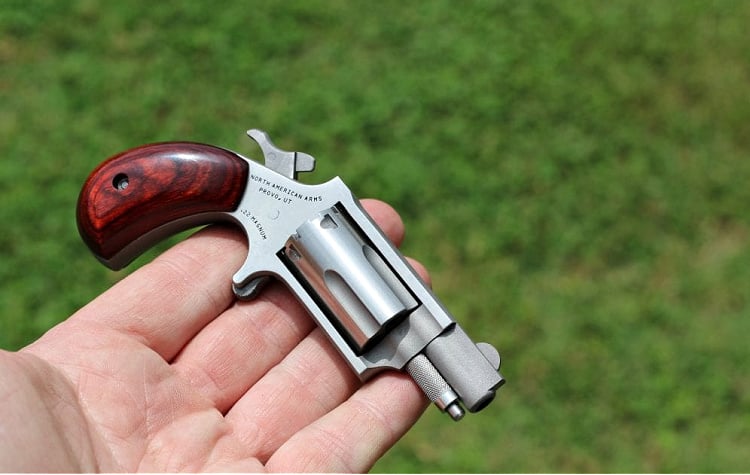 NAA .22 LR Mini Revolver for sale