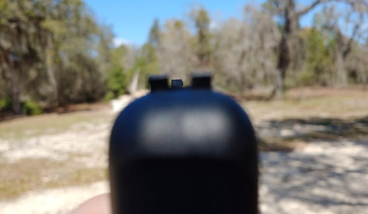 Altor pistol - sights