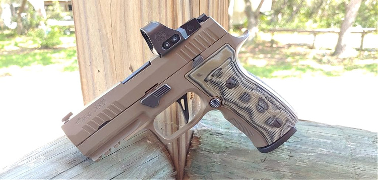 Sig AXG with Romeo1Pro red dot