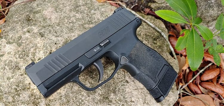 Sig P365