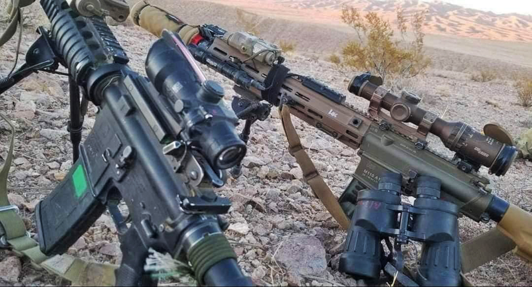 An M110A1 DMR with an M4A1 GPR. If we pretend for a moment that the M4A1 is an SPR, the difference in size and caliber immediately sets the DMR apart, removing any confusion between the two.