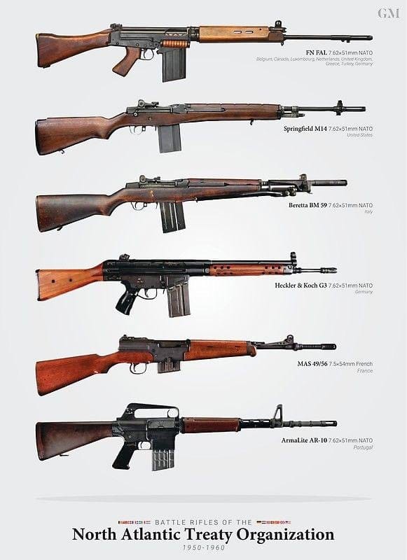 Assault Rifle vs Battle Rifle 