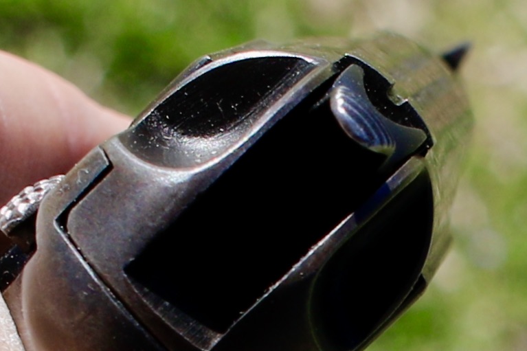 Savage 1907 rear sight picture