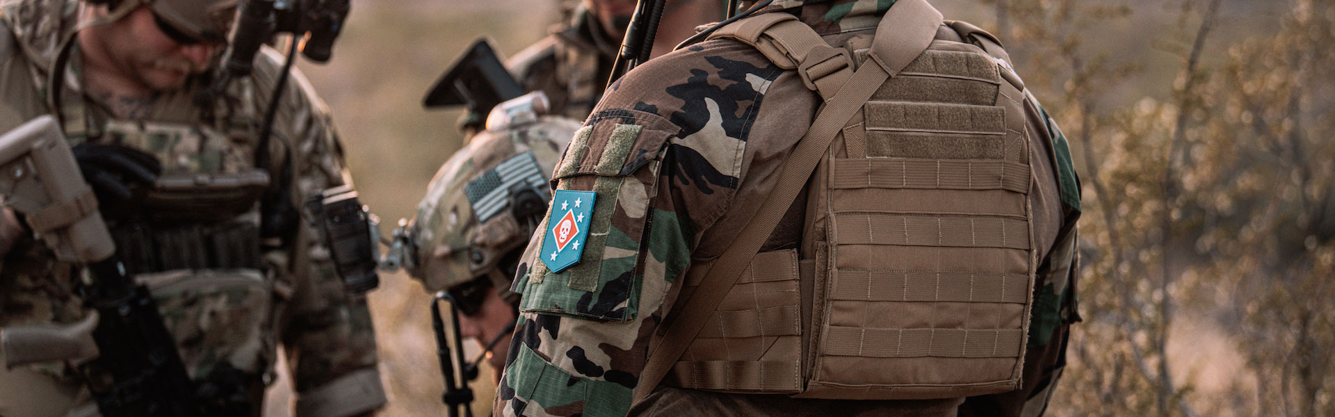 Haley Strategic Partners Thorax plate carrier