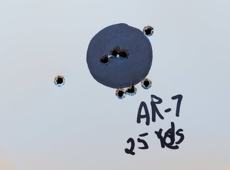 Henry AR-7 survival rifle rapid fire shot group at 25 yards.