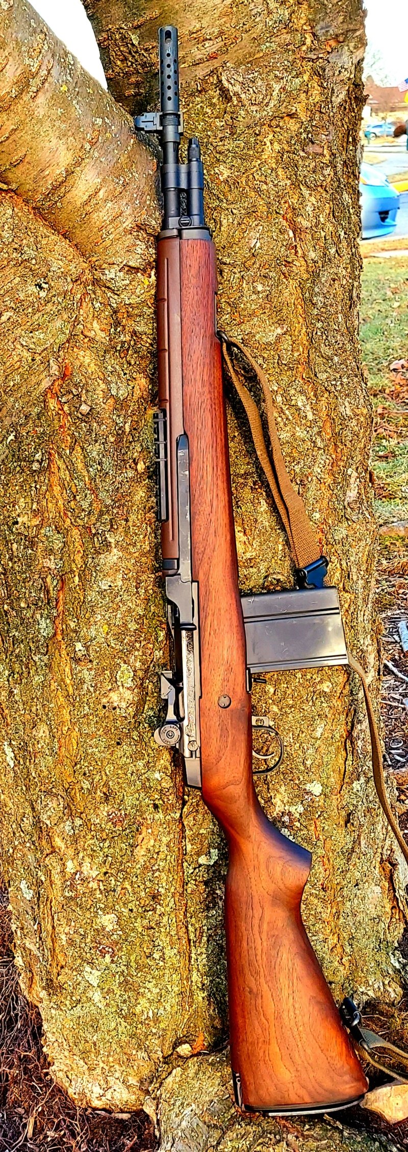 Springfield M-1A Scout Squad rifle