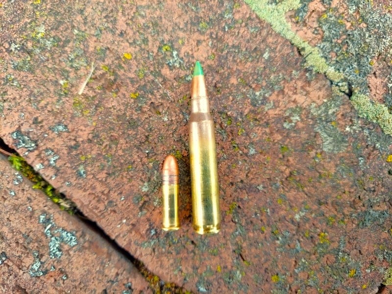 223 Ammo Vs 22