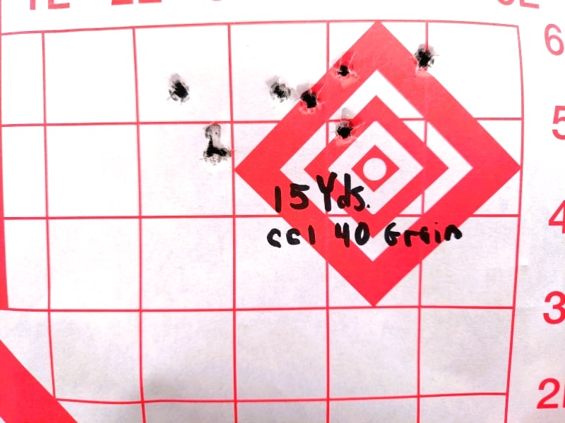 Target group using CCI 40 grain 22LR ammo
