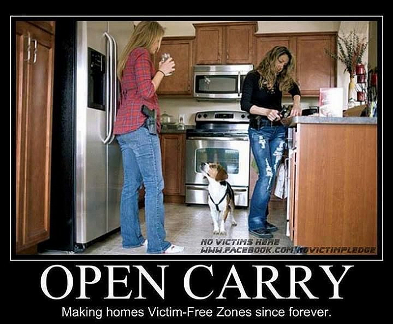 Open Carry meme: making homes victim-free zones since forever