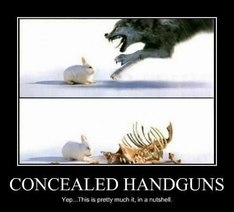 concealed carry meme