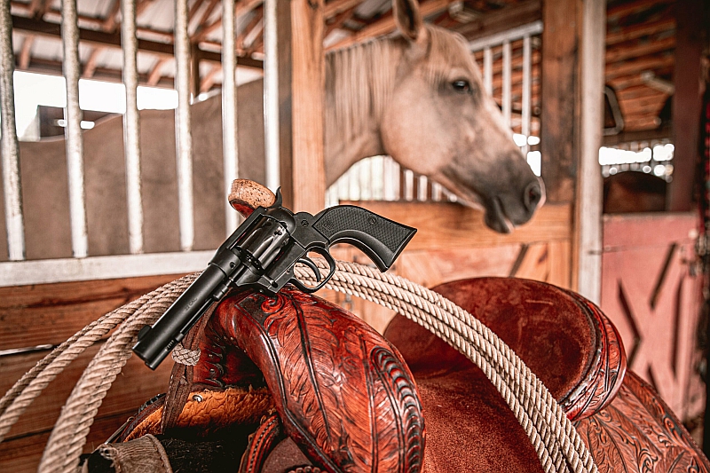 Diamondback Sidekick  on saddle in horse barn