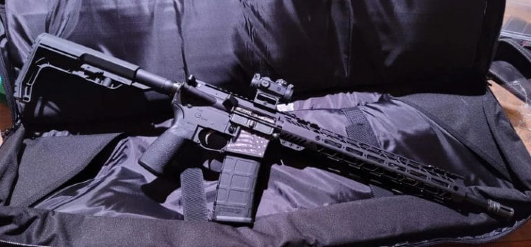 Top 5 Ar 15 Rifles For Under 1000 The Mag Life