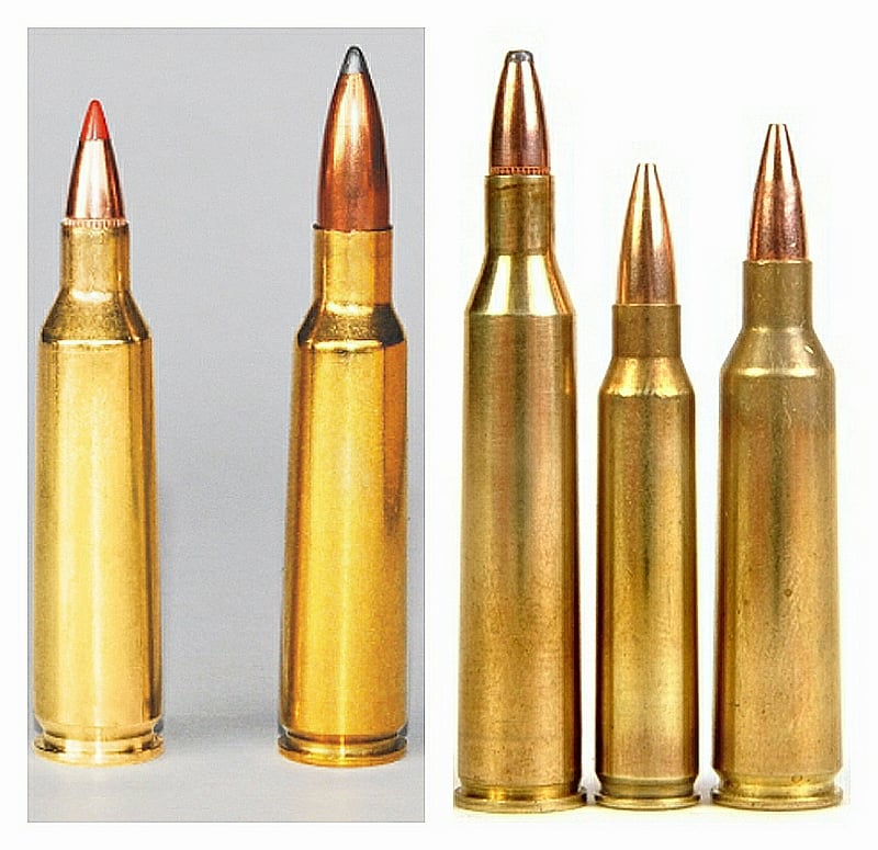 .22-.250 Remington cartridge comparison
