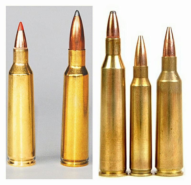 22 250 rifle ammo