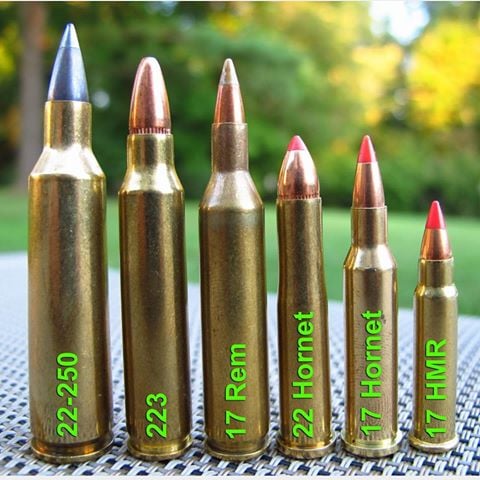 The .22-.250 Remington: Reasons to Love It cartridge comparison