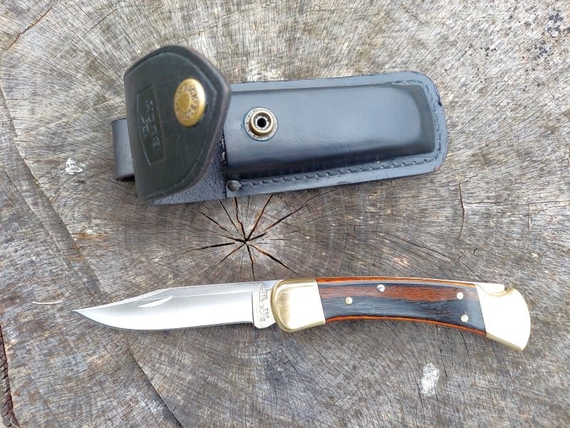 Buck 110 Folding Hunter