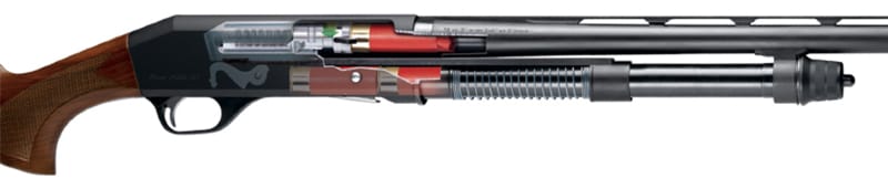 interal workings of an inertia driven shotgun