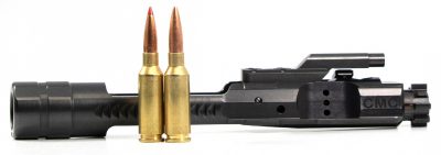 Two cartridges and a bolt carry group.