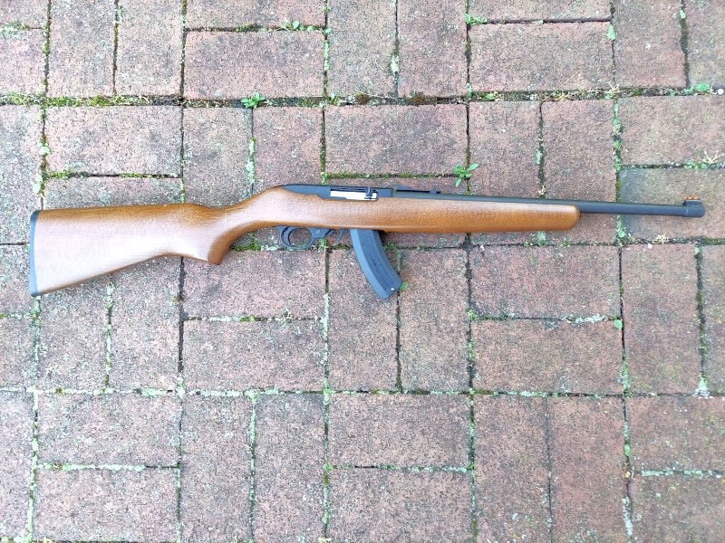 Ruger 10/22 with 15-round magazine.