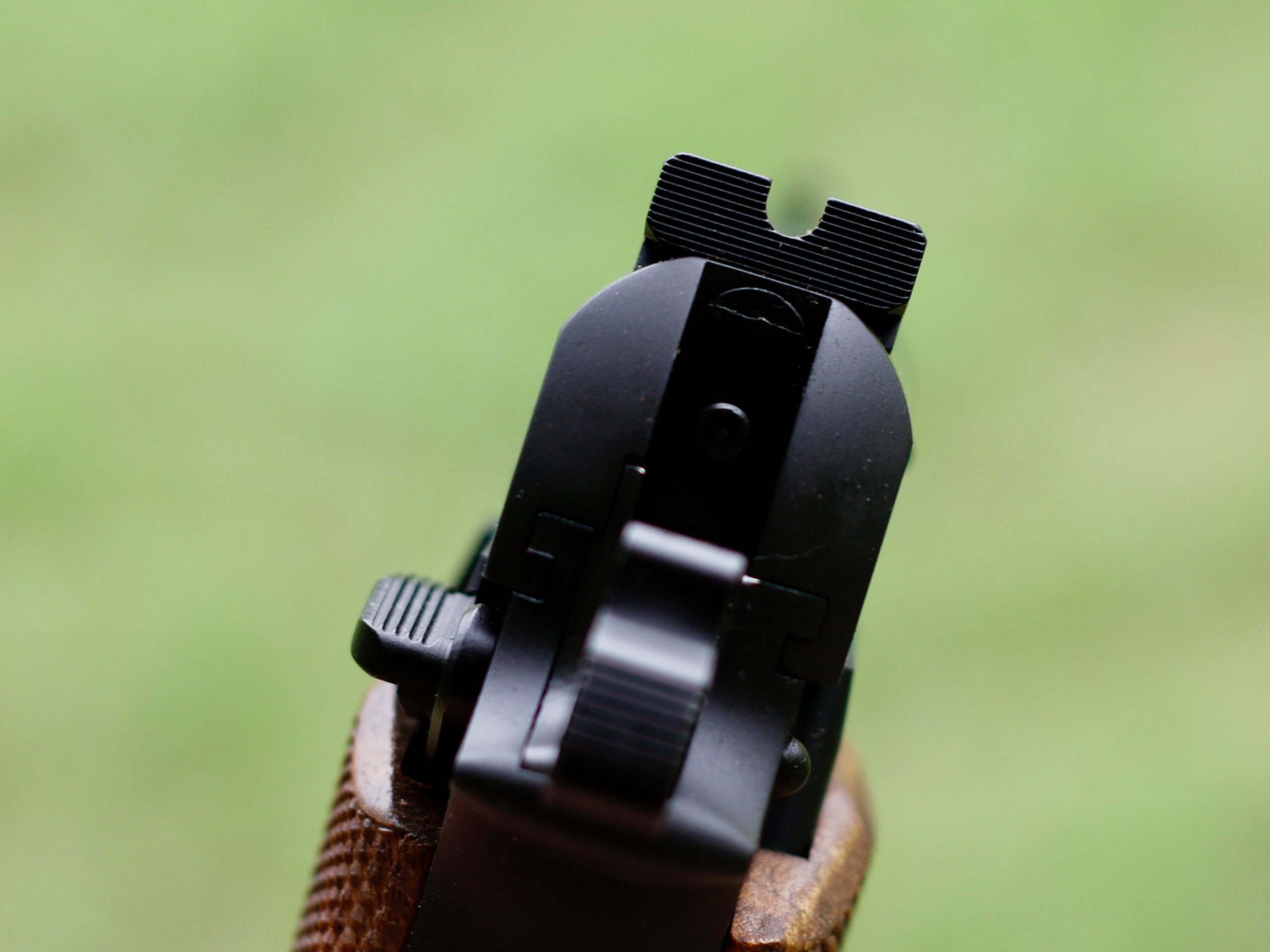 The SA-35 U-notch rear sight.