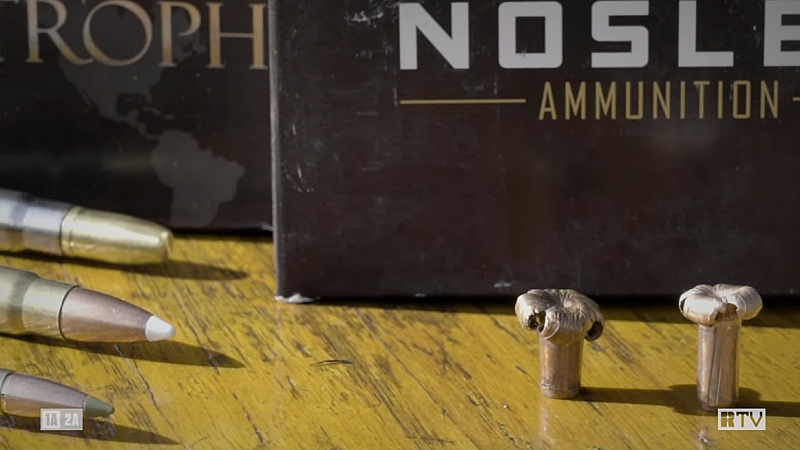 Mushroomed Nosler E-Tip bullets