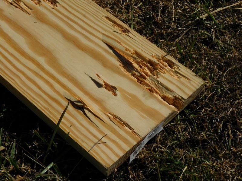 The backside of an one-inch pine board that was shot by Federal's No. 4 load.