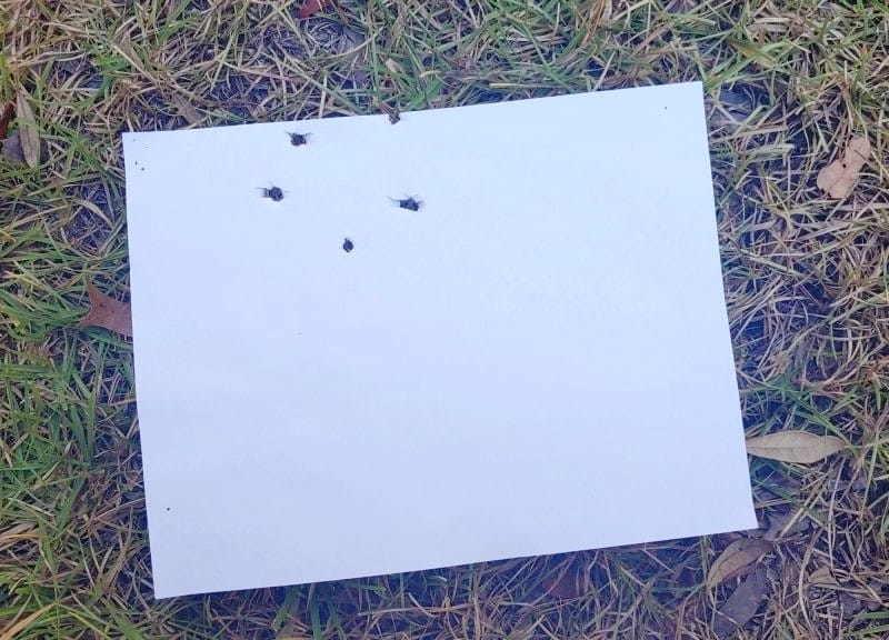 Federal FliteControl shot group at 25 yards