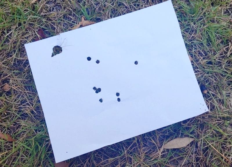 Here is a standard round of Buckshot at ten yards.