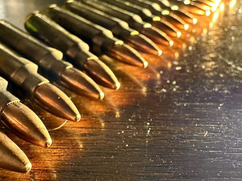 Winchester 5.56mm M193 Target Ammo Good Bang for the Buck?