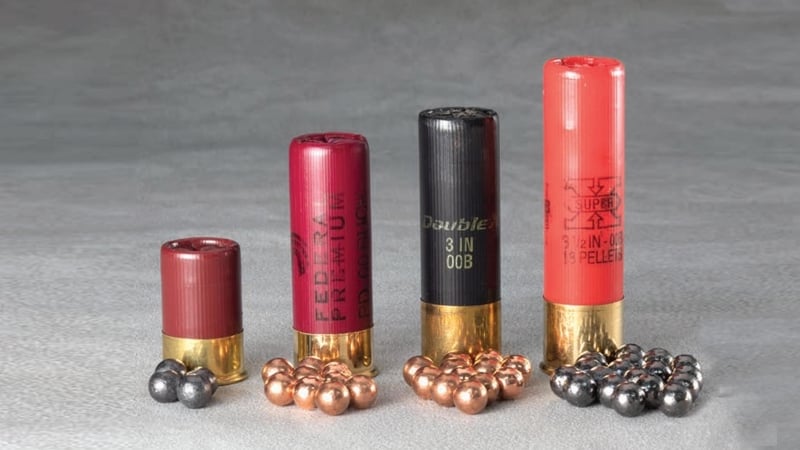 12 Gauge Buckshot Ammunition Photo Shooting Illustrated 