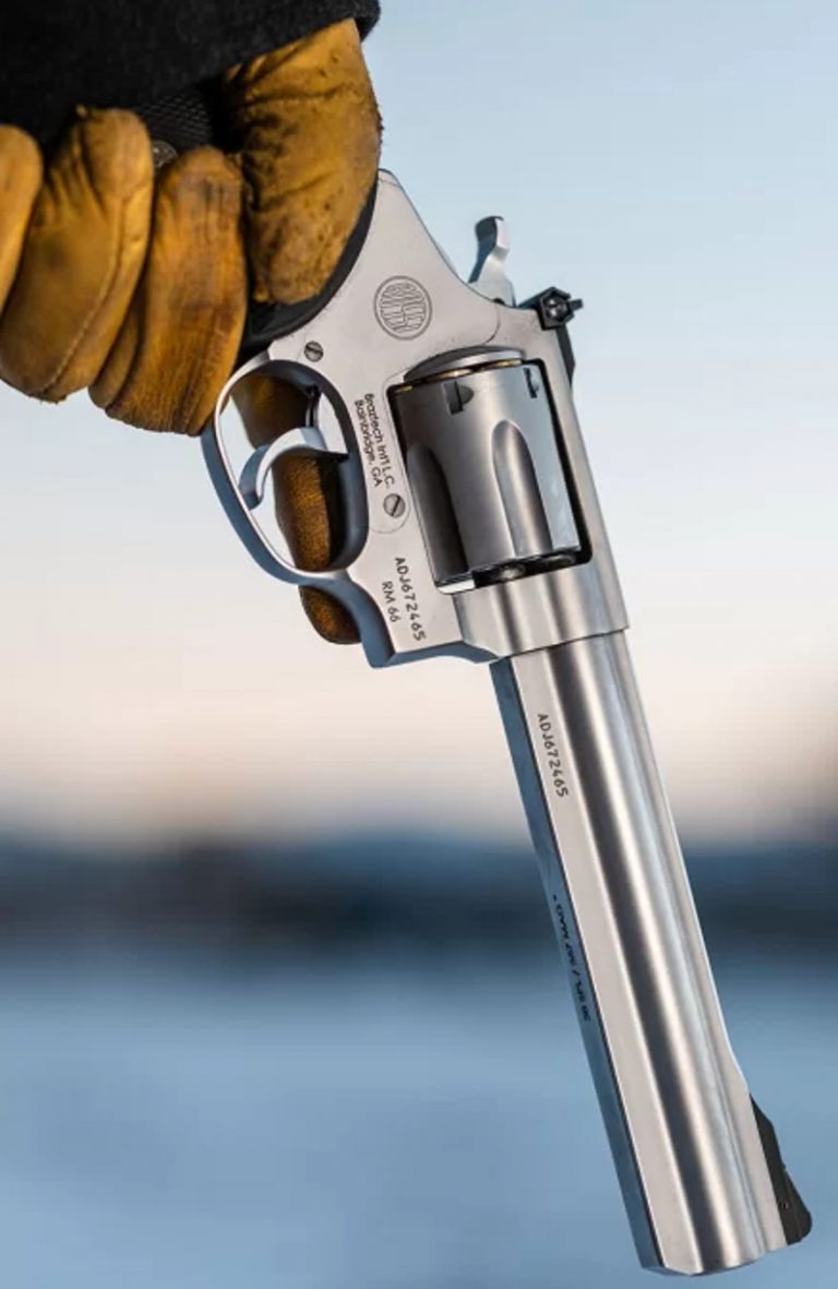 Rossi Rp63 Your Next Revolver By Kat Ainsworth Global Ordnance News 6671