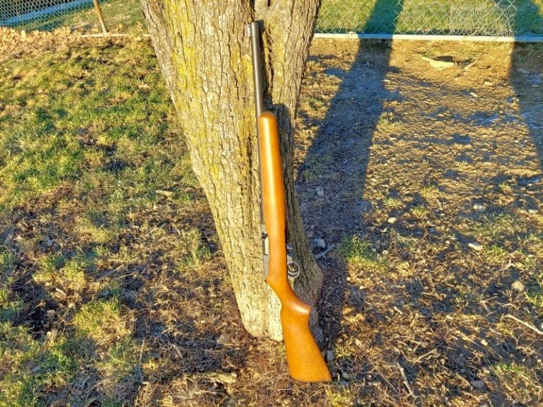 Rimfire Rifles And Dry Firing Safe Or Not? The Mag