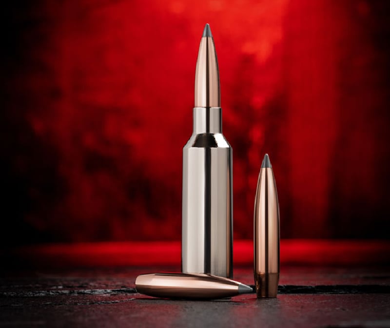 Best Deer Hunting Calibers for 2023