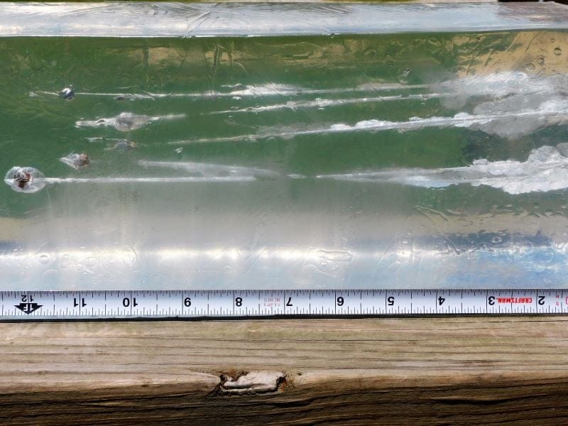 A gelatin block with captured CCI Velocitor and Winchester projectiles fired from a rifle.