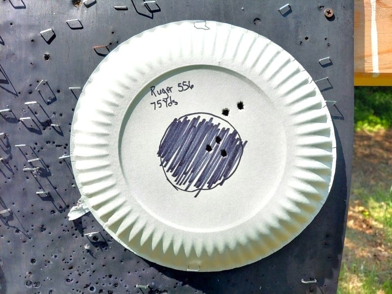 75-yard target group with open sights.