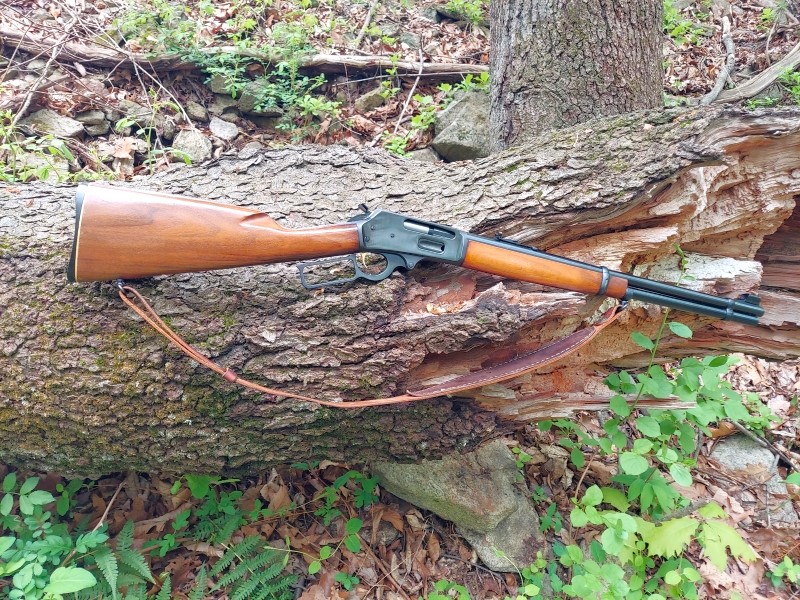 Marlin 336 perched on a downed tree.