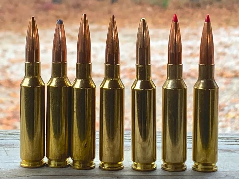 The 6.5 Creedmoor: Here To Stay - The Mag Life
