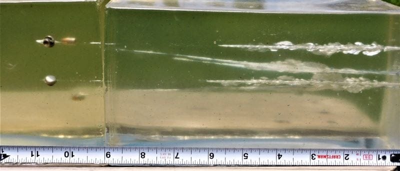 cci mini mag gel test