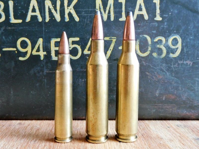 The .223 Remington as a Deer Cartridge: An Unscientific Test