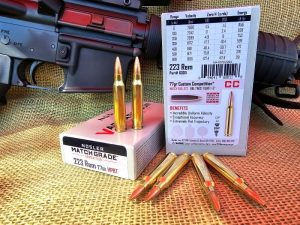 Nosler Varmageddon .223 Ammunition - Just How Accurate Is It?