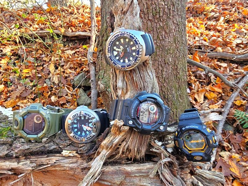 Five top pick dive watches in the wild.