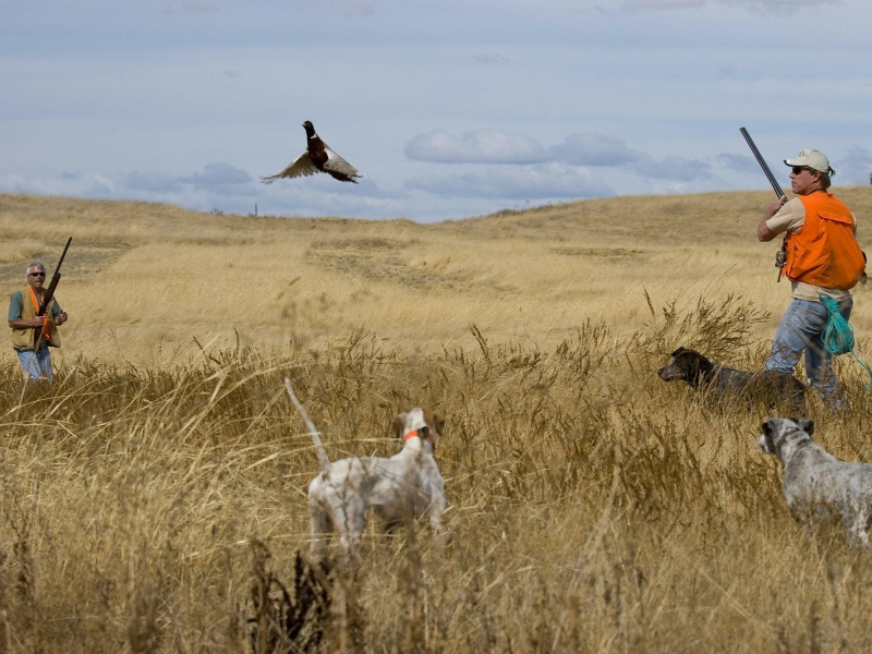 Pheasant Hunting Gear - NSSF Let's Go Hunting