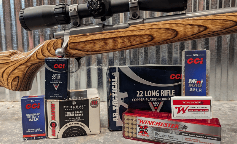 Ruger 77/22 rifle with .22 ammo
