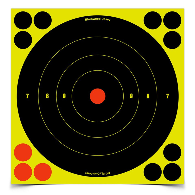 Double Spin Centerfire Handgun Swinging Target up to .44 mag