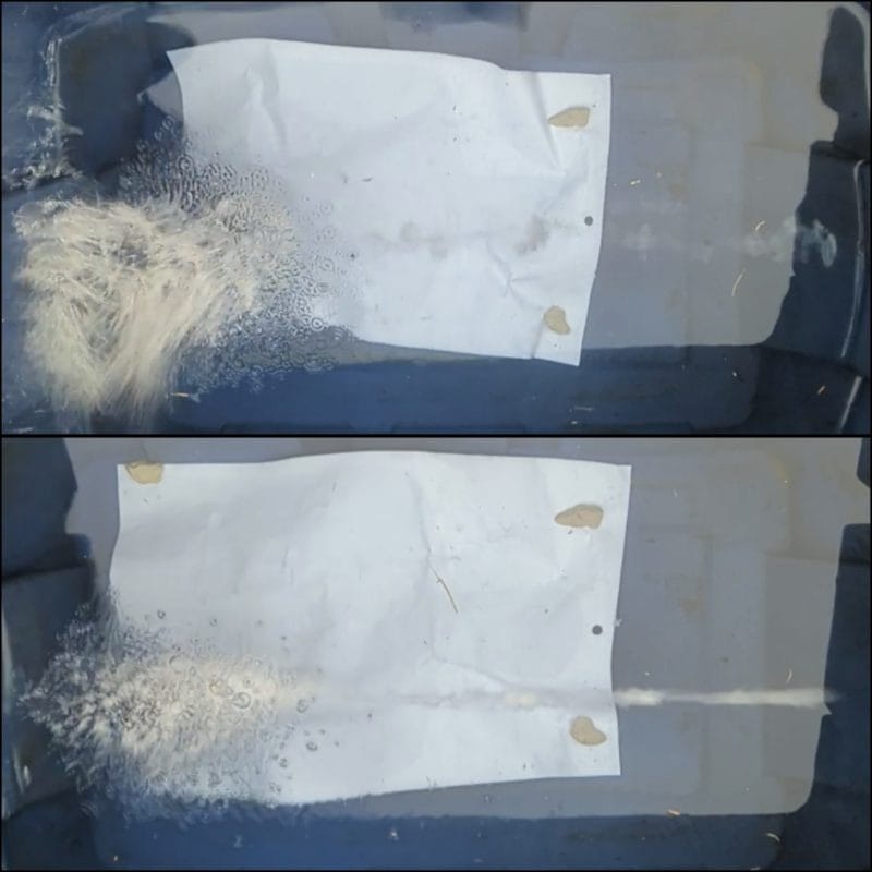bullet performance in water