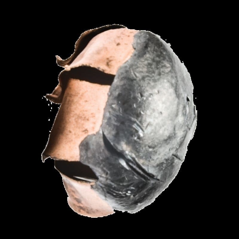 Nosler's ASP round taken from gel testing.