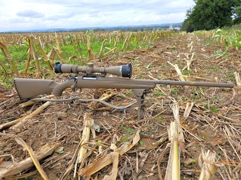 Ruger American Predator with medium weight barrel.